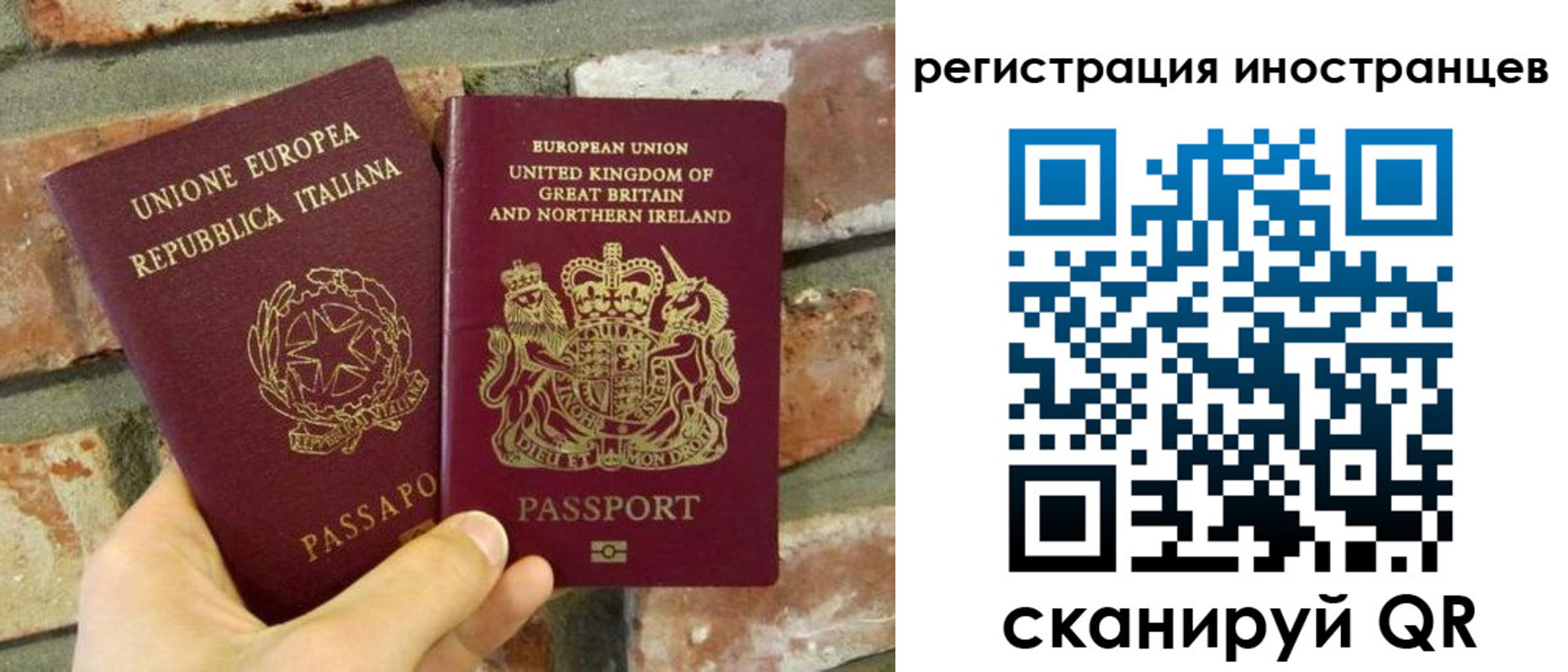 временная регистрация для школы в Светлограде